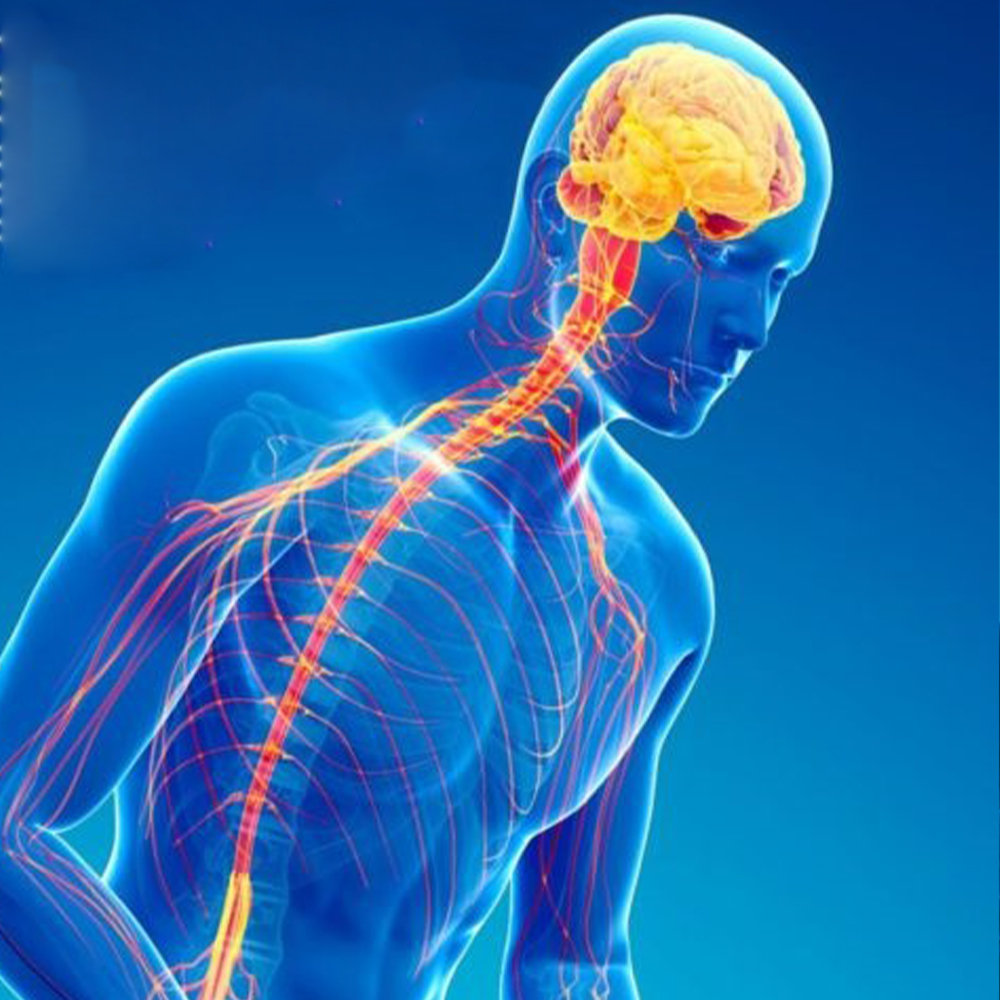 بیماری پارکینسون | علائم، روش‌های تشخیص و درمان